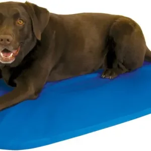 Zeloravianex Cooling Dog Bed Water-Filled Nylon/Vinyl Pad Small Medium Large