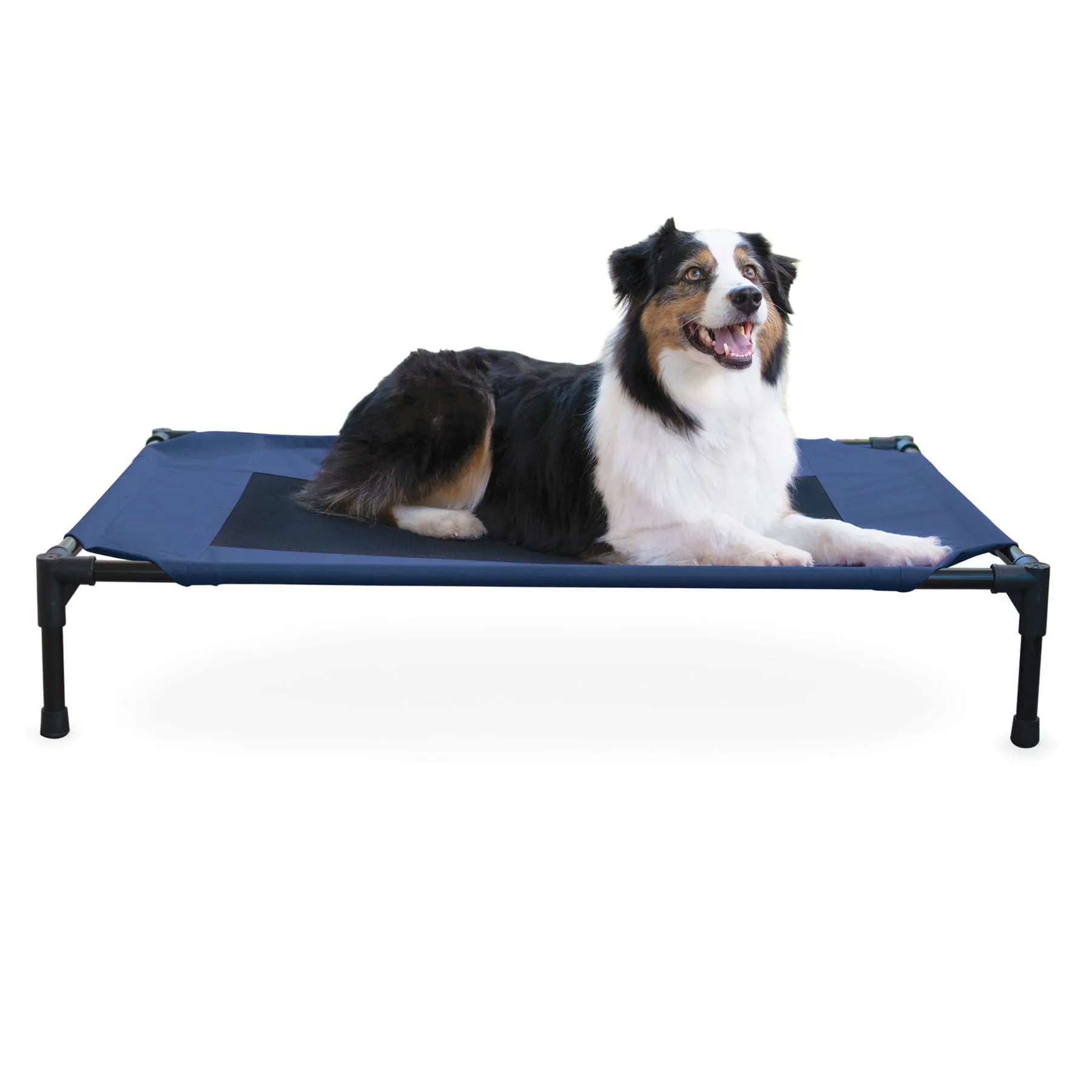 Zeloravianex Elevated Dog Bed, Mesh Pet Cot for Camping and Home, Small to X-Large